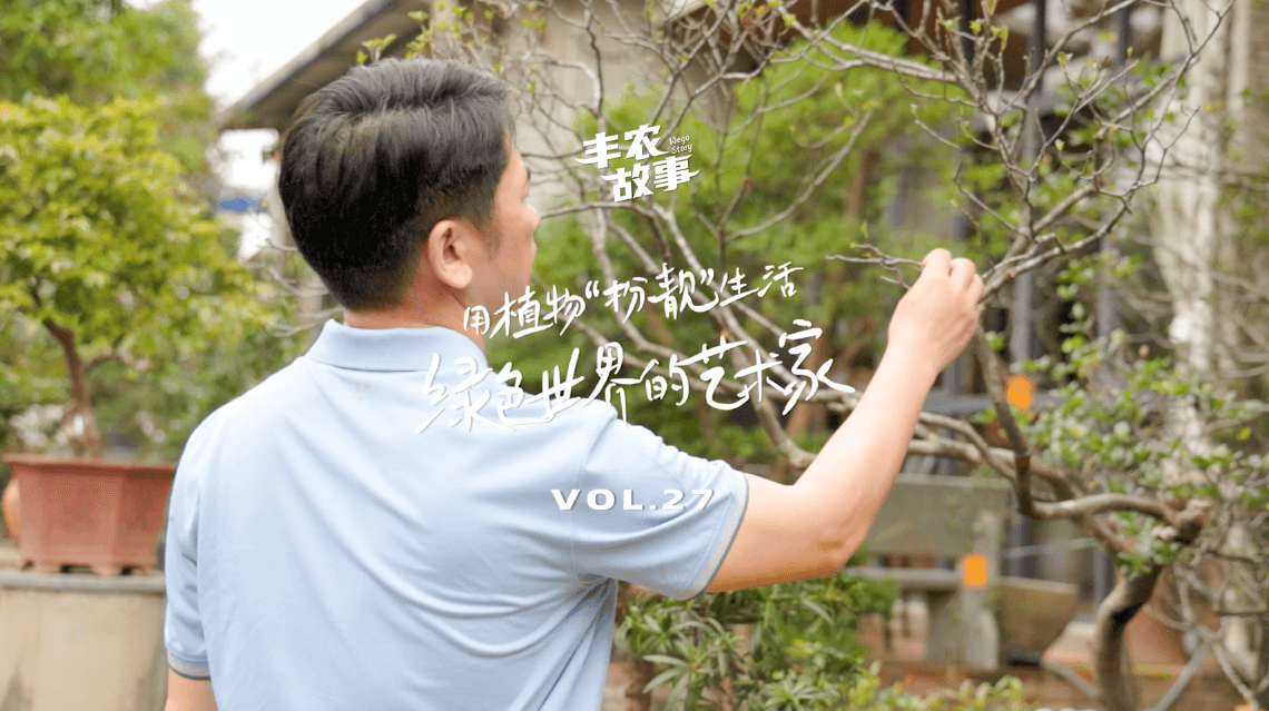 17年，他用一草一木去点亮了一个个家。