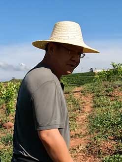 农业人叶涛，50多岁通讯人跨界搞农业，他要用1000万打造一个梦。